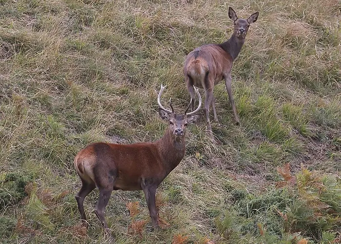 La Grange Des Chouettes