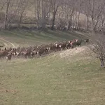 Casa de Férias La Grange Des Chouettes Ilheu