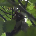 La Grange Des Chouettes Casa de Férias *