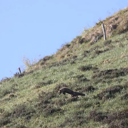 La Grange Des Chouettes *