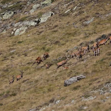 Сasa de vacaciones La Grange Des Chouettes *