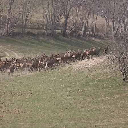 Сasa de vacaciones La Grange Des Chouettes Ilheu