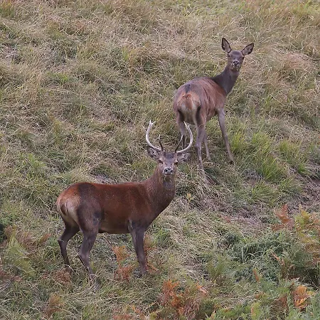 La Grange Des Chouettes