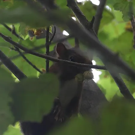 La Grange Des Chouettes Сasa de vacaciones *