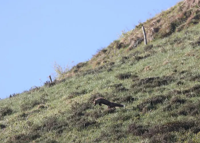 La Grange Des Chouettes *
