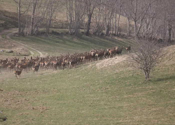 別荘 La Grange Des Chouettes Ilheu