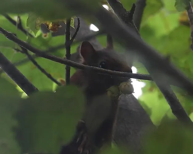 La Grange Des Chouettes Дом отдыха *